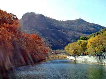 澳门二四六天天彩图库，雪花啤酒批发